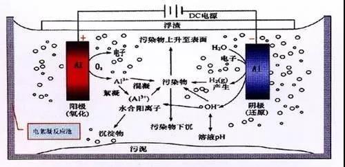 我買了一個(gè)甲醛檢測(cè)儀，吹口氣后發(fā)現(xiàn)原來我才是“地表最強(qiáng)”污染源！