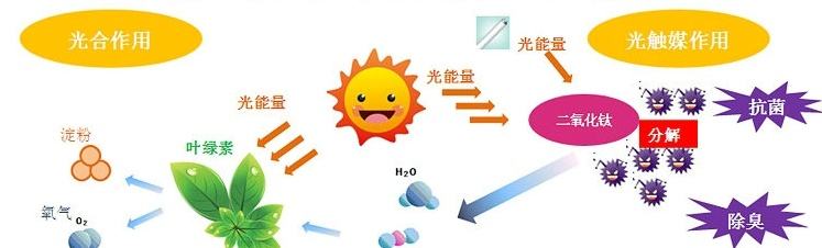 甲醛治理用什么辦法最正確？這三點常見的除甲醛辦法其實是誤區(qū)