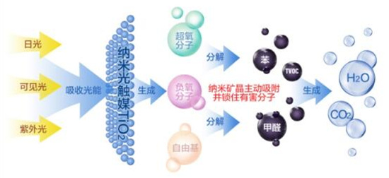 洋蔥可以除甲醛？民間流傳土方法可信嗎？