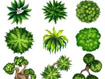 可以凈化室內(nèi)空氣的植物，這二十種您需要好好了解一下！
