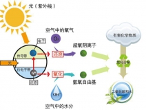 什么甲醛治理辦法效果好持續(xù)時(shí)間長(zhǎng)？