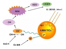 杭州除甲醛的優(yōu)效方法有哪些？
