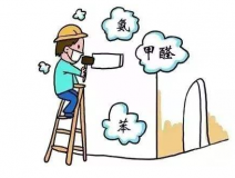 去甲醛具體有哪些方法呢？