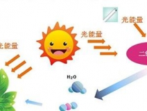 無光觸媒和光觸媒有什么區(qū)別？