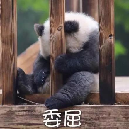 別大意！七大除甲醛“誤區(qū)”，信了你反而會(huì)生??！通風(fēng)、綠植、活性炭、熏蒸……你中招了嗎？